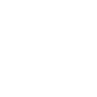 Digital Catalog