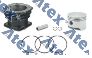 14-41110 14-41110 Cylinder Liner (with Piston And Ring)