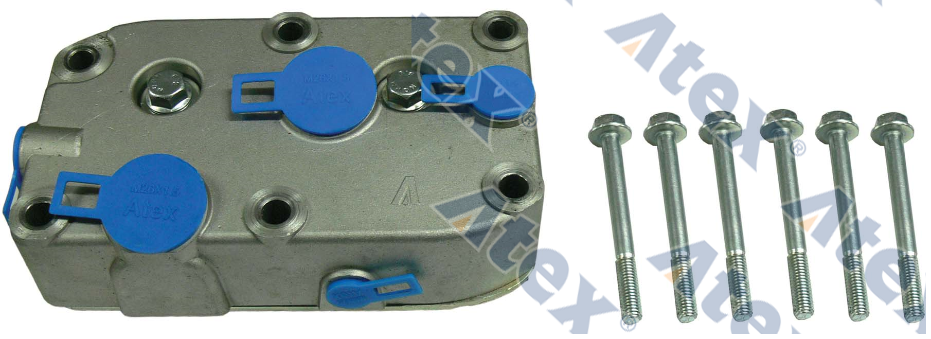 14-98156 106.01.1210, 13 11 60, 1686158S, 1698156, RK.01.261 Cylinder Head (plate Included)