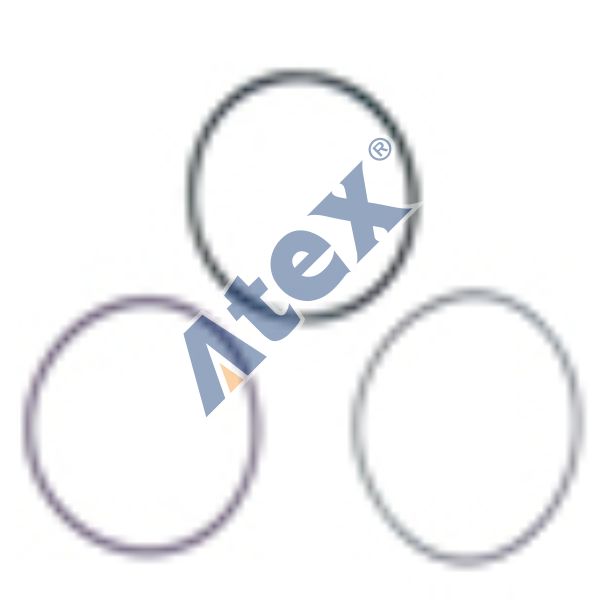 205-032879 7485103699 Sealing Ring (one single Kit ) Ø123,00mm