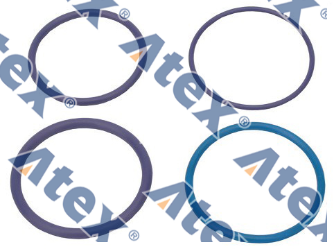 205-038574 205-038574 Seal Ring, Unit Injector