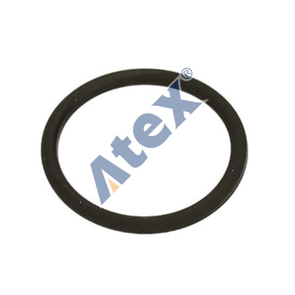205-189221 7420536487 Seal Ring (Injector Sleeve)