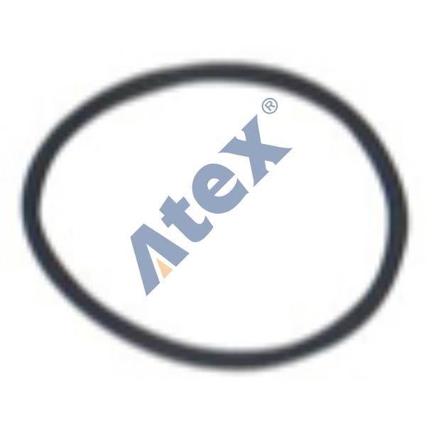 220-017104 5001852996 Sealing Ring, Thermostat