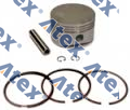 224-61414 400.01.1720, 7000 821 102, RK.01.253.20 Piston And Ring Set