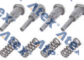 370-069596-CİE 20805870, 20845497, 21141850, 655-45497-CEİ, 7421141850 Spring & Pin Kit, Input Shaft
