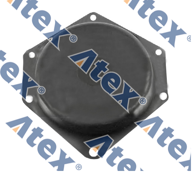 500-63723 5000663723 Eksantrik Dişli Kapağı