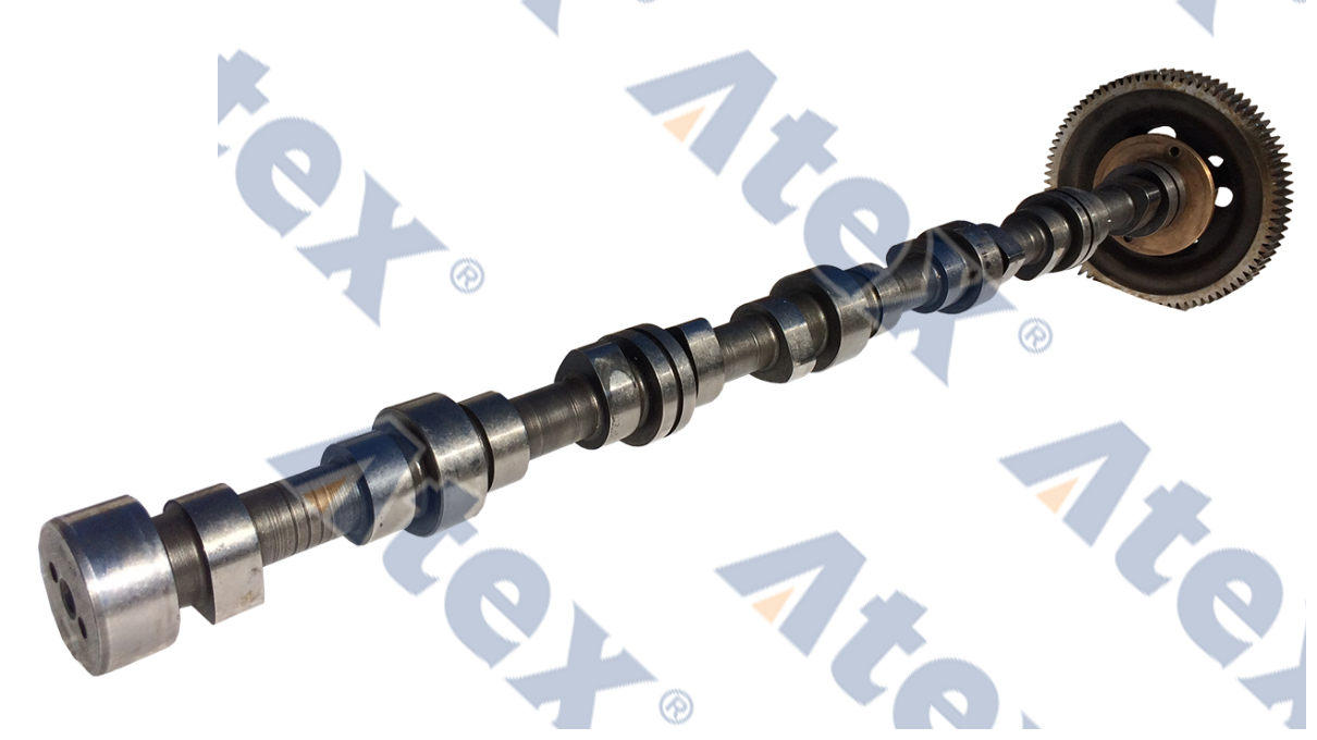 500-84883 5010284883 Eksantrik Mili