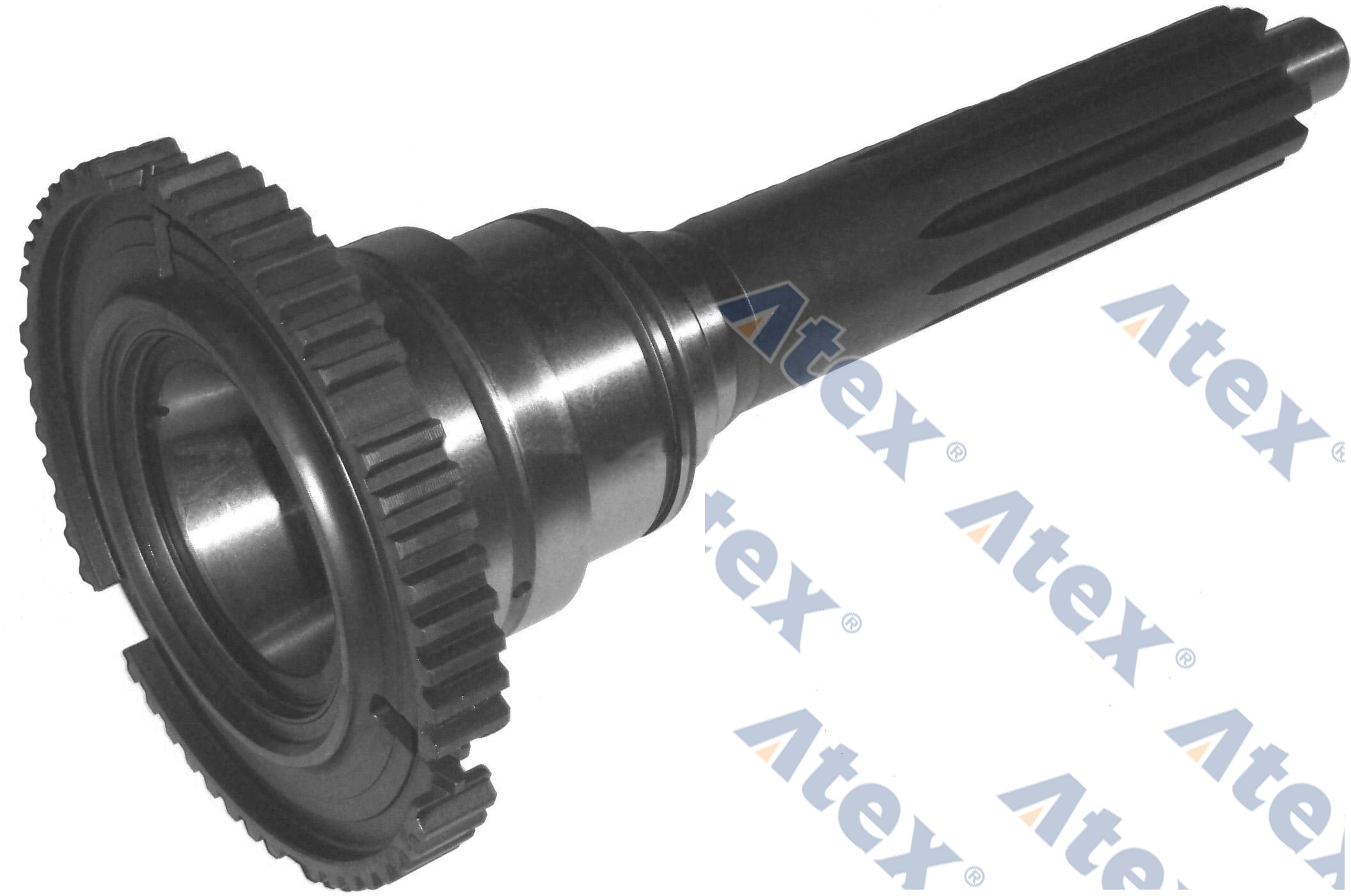 555-48727 1316202038, 1316302091, 5001848727 Input Shaft