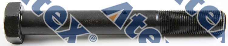 570-30738 5010130738   , 5010130738 Screw, Leaf Spring