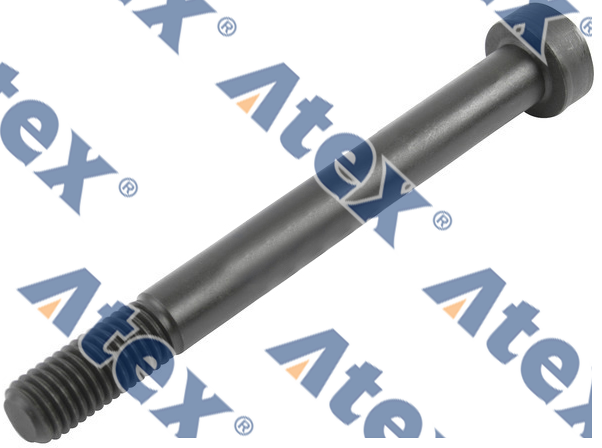 570-51867 5001851867 Screw, Leaf Spring