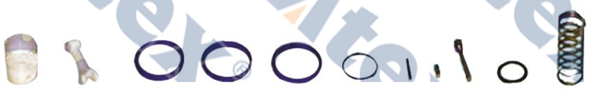 570-95002 169.500.2 Repair Kit, Levening Valve