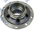 580-66070 5010566070 Wheel Hub, (without Bearing) Rear