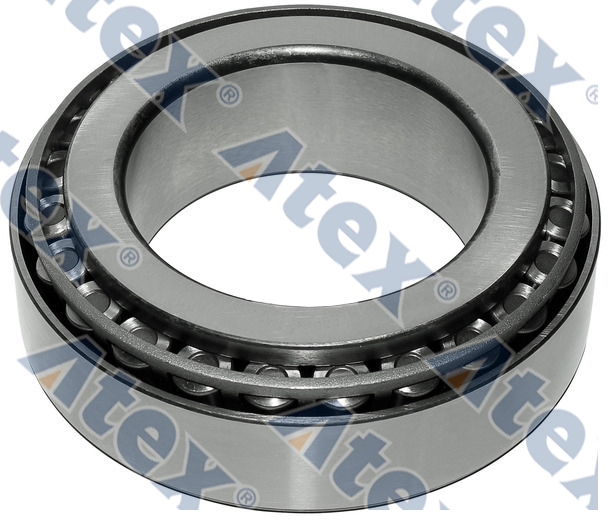 580-87007 5000675250, 5010439570, 5010587007 Arka Porya Rulmanı