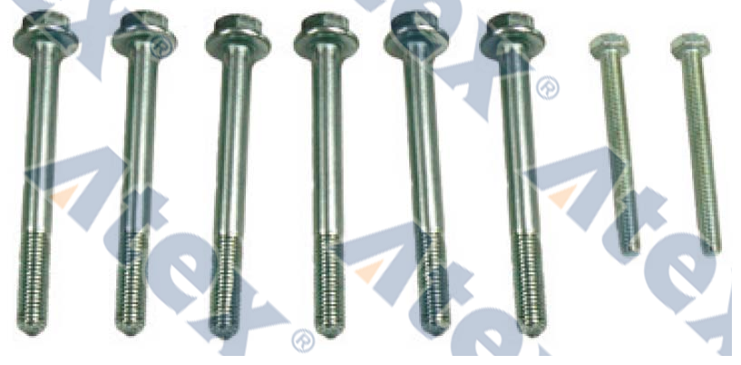 585-31523  Screw M8x100 M6x60