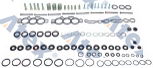 590-37202 237.204.2 Repair Kit, Ecas Valve