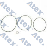 611-02420 20802420 Oil Circuit Oring Repair Kit