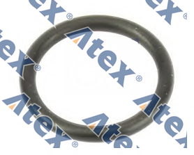 613-42089 613-42089 The Tensioner Pulley Bolt O'ring