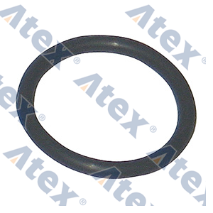 613-77059 477059, 7400477059 Termostat Yuva O-ringi