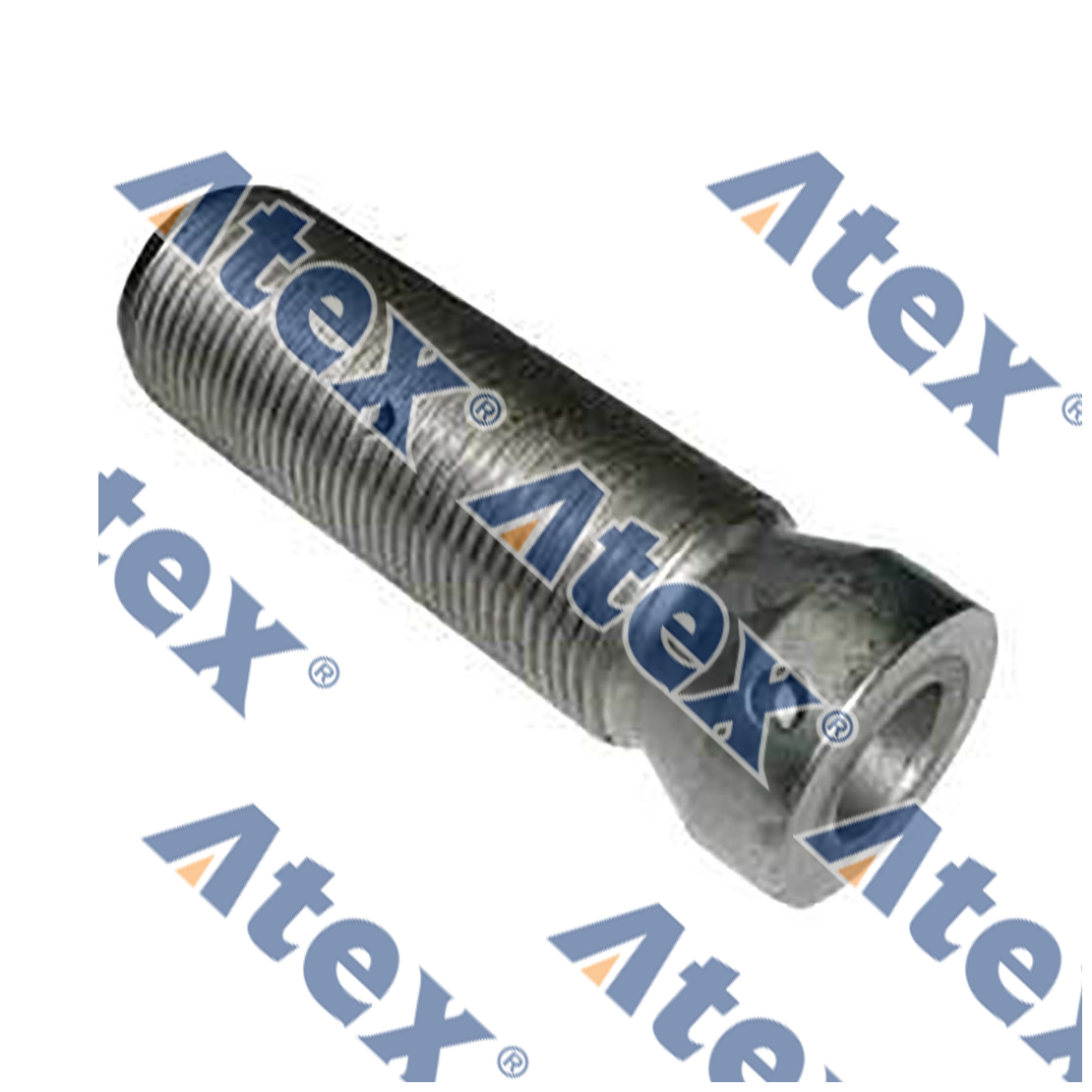 666-08018 666-08018 Arka Makas Burcu