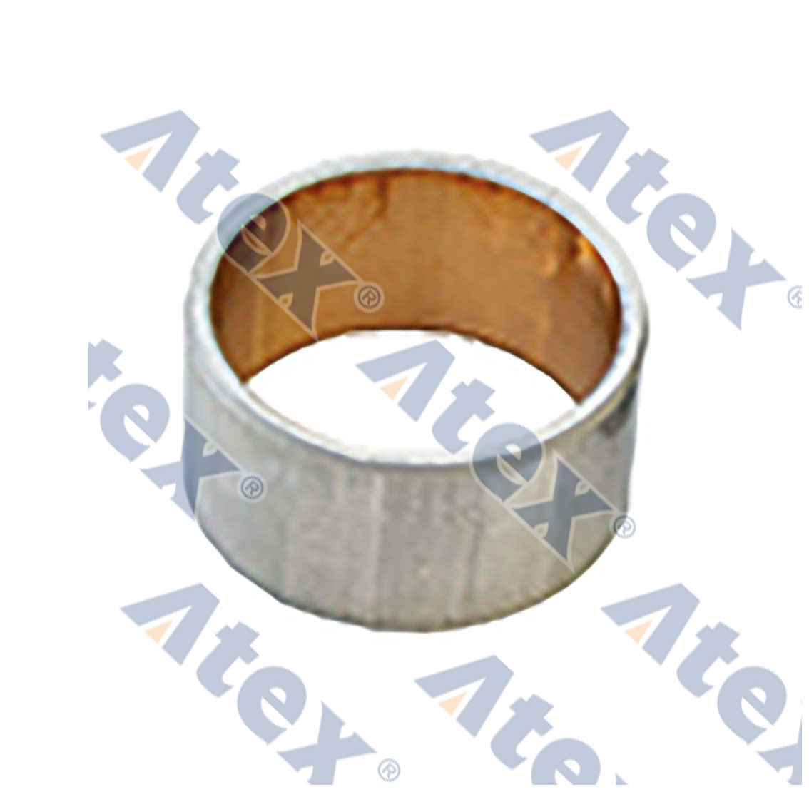 669-06679 1606679, 348977 Bushing, Brake Anchorage