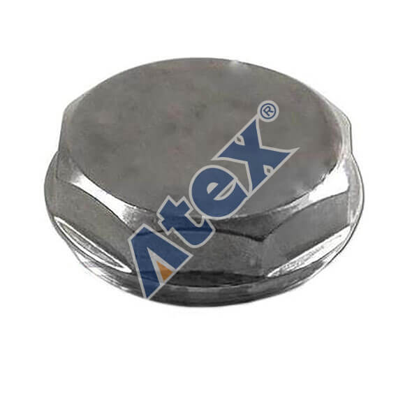 677-38061 3038061 Hub Cap