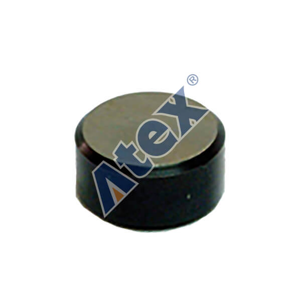 701-06009 306009 Valve Cap