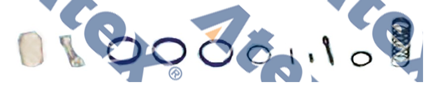 781-55054 169.500.2 Repair Kit, Level Valve