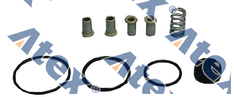 781-55150 118.100.2 Role Ventil Tamir Takımı