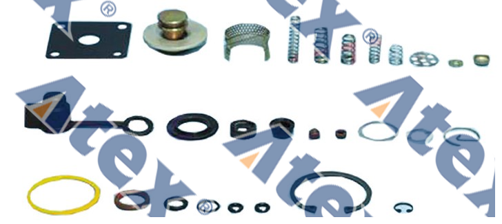 781-55157 307.101.2 Hava Tahliye Valf Tamir Takımı