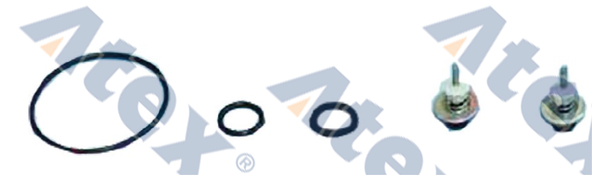 781-56132 512.200.2 Kapı Kontrol Valf Tamir Takımı