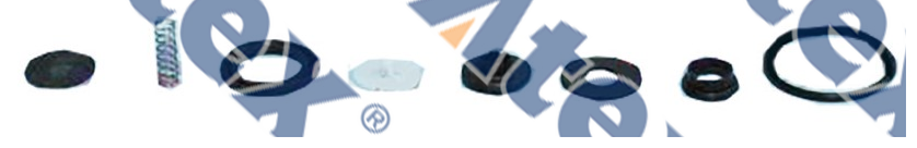 781-68057 316.100.2 Hava Tahliye Valf Tamir Takımı