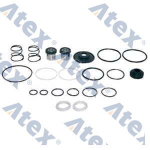 781-68409 068409, 461 315 008 2 Valve Repair Kit