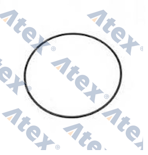 806-30424 1730424 Gömlek Lastiği