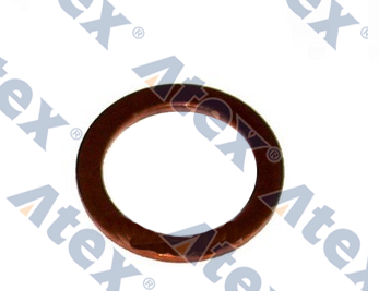 807-03098 303098 Enjektör Pulu