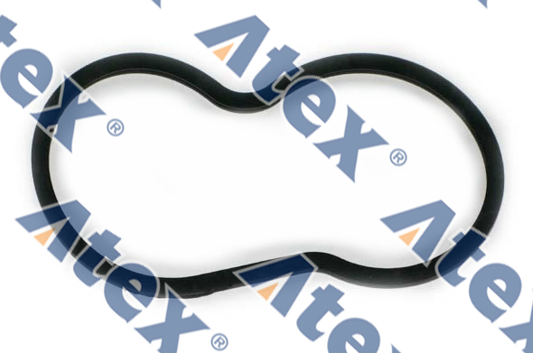 808-21825 1421825 Termostat Oringi