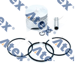 85-17210 7000781101 Piston And Snap Ring, Compressor	