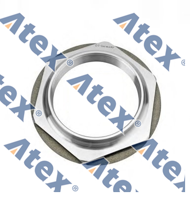 862-55569 355569 Arka Teker Porya Somunu