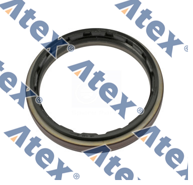 864-00974 1502384 Diferansiyel Keçesi