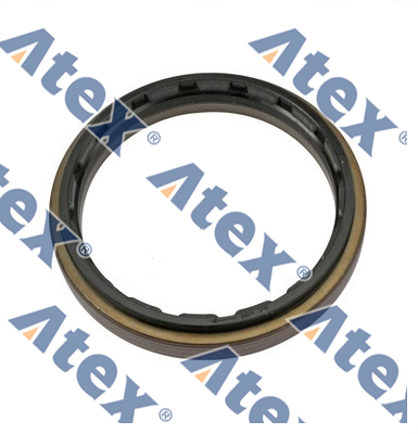 864-02385 1386594, 1502385 Diferansiyel Keçesi