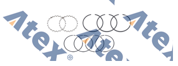 CUM-11820 712.01.1800 Kompresör Segmanı