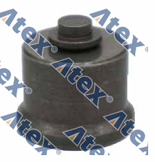 MRC-42915 0000742915, 2418552027 Delivery Valve Fuel Pump